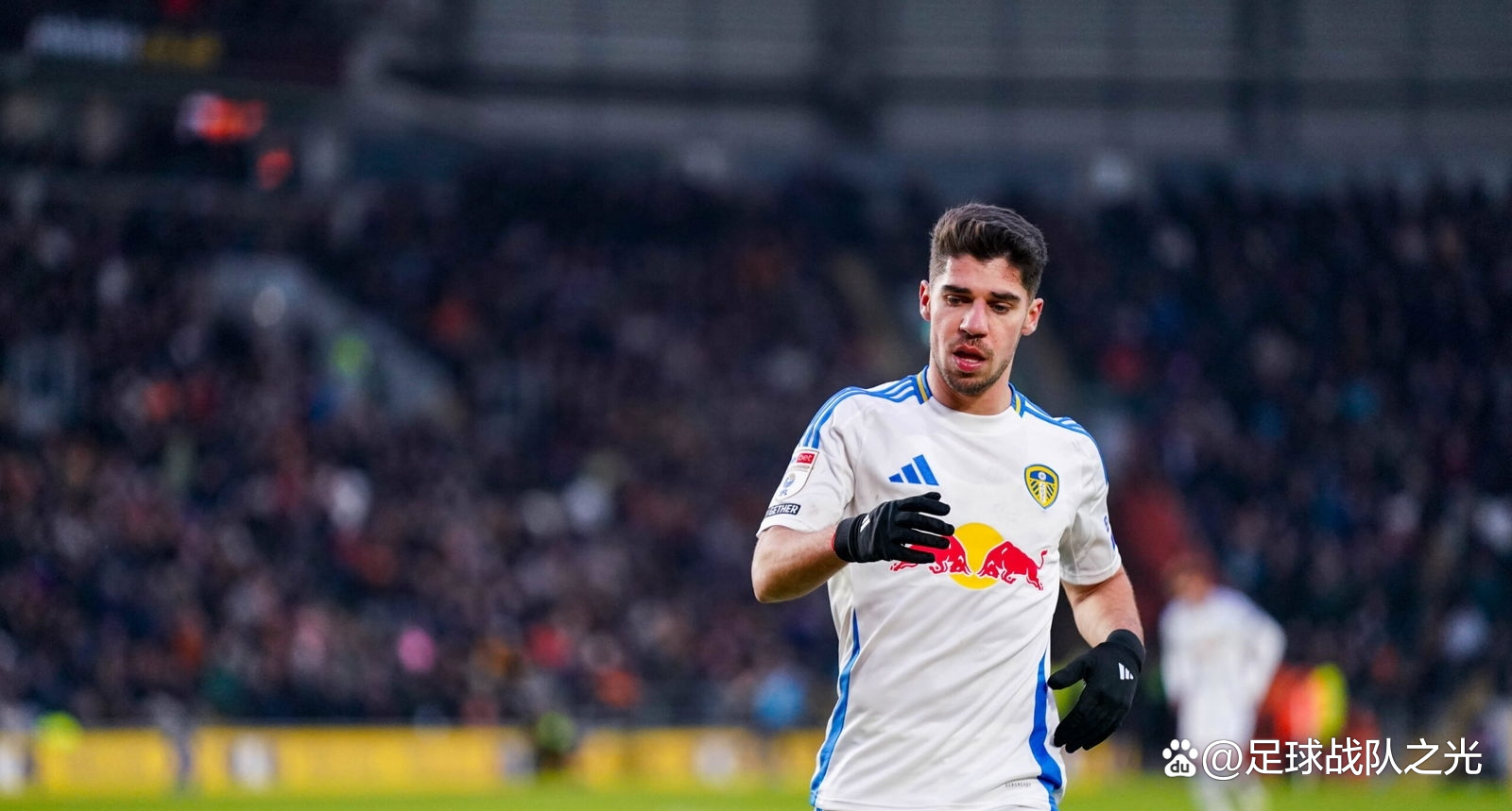 利兹联后卫力争入选英格兰国家队