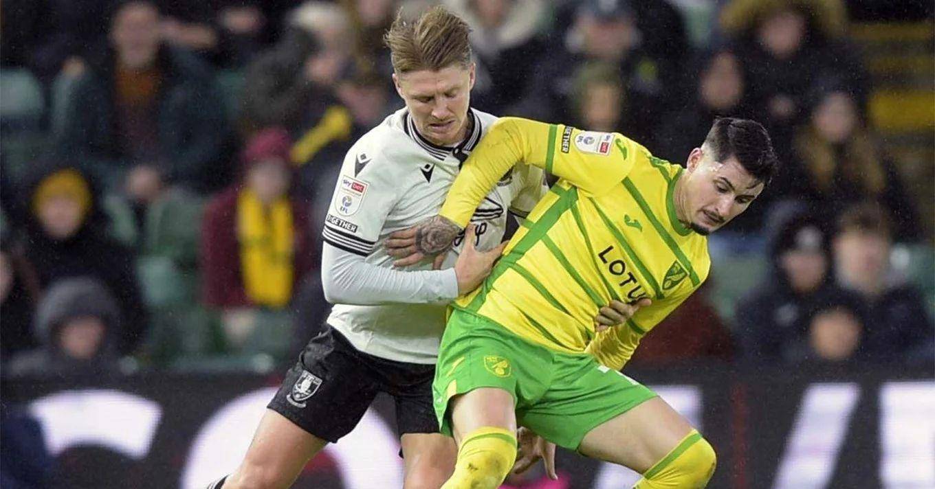 包含诺维奇门将连续扑出关键球，助球队保持不败的词条