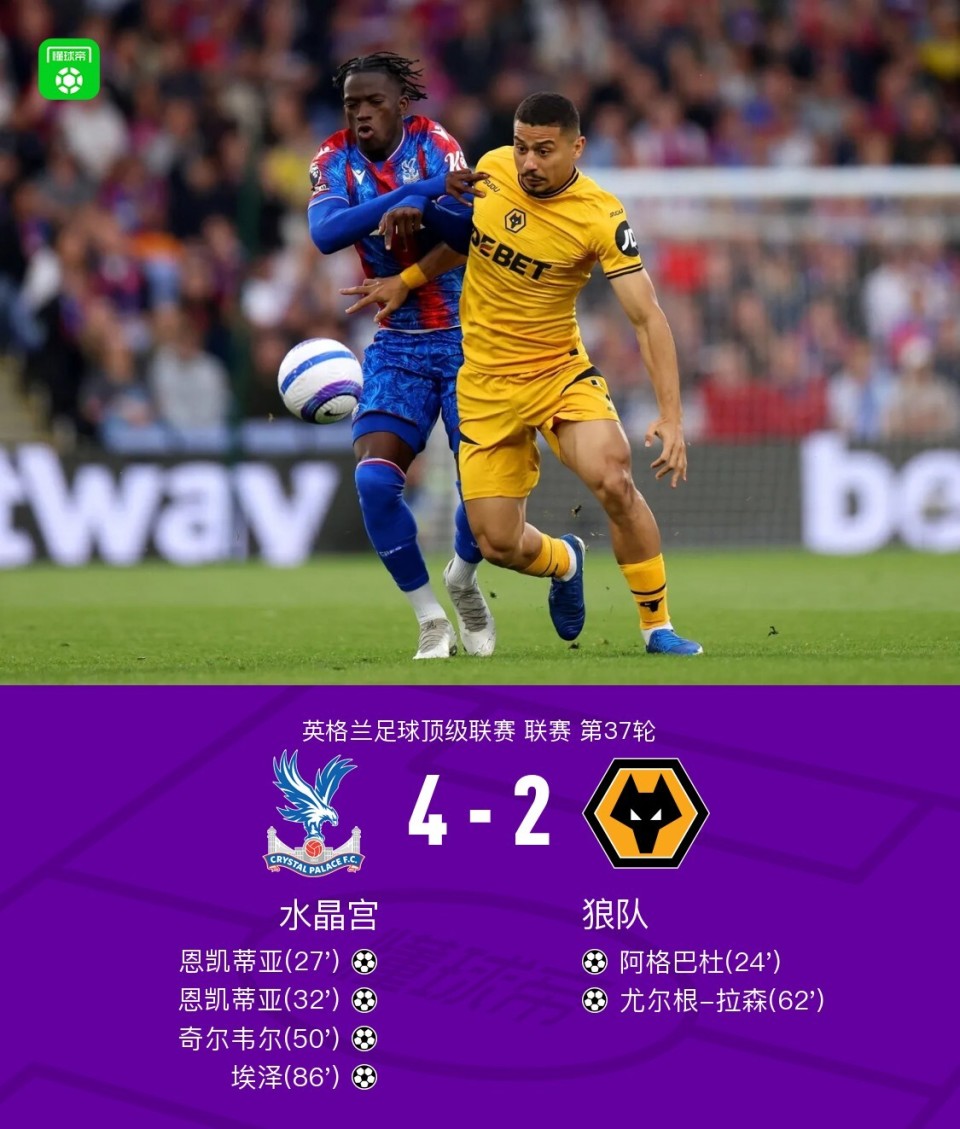 关于水晶宫主场大胜，重新找回状态的信息