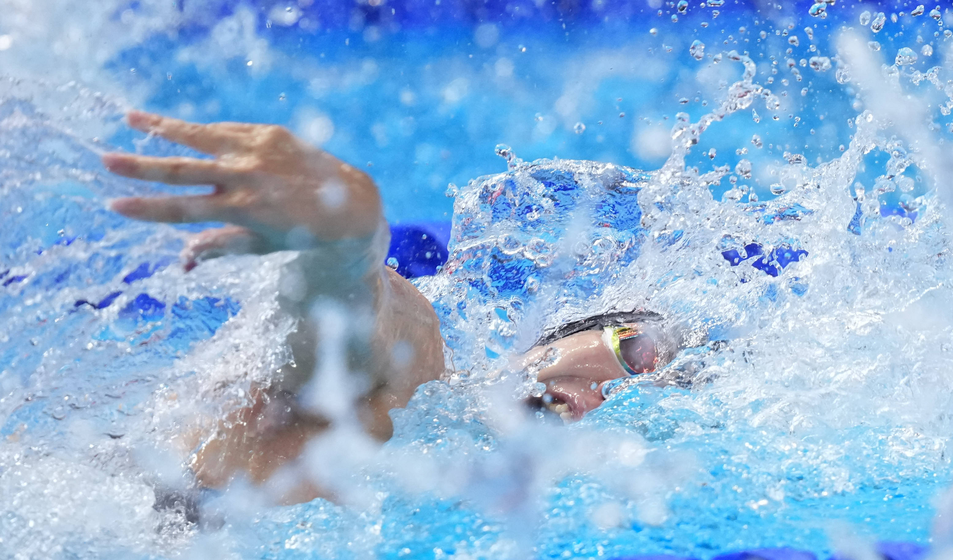 关于游泳女子百米自由泳：澳大利亚选手称霸的信息