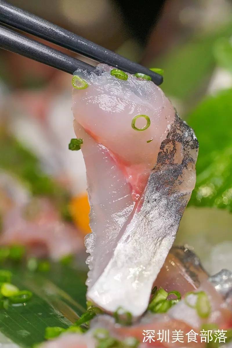 深圳大鲨鱼再遭失利,奋起反击 深圳大鲨鱼再遭失利,奋起反击