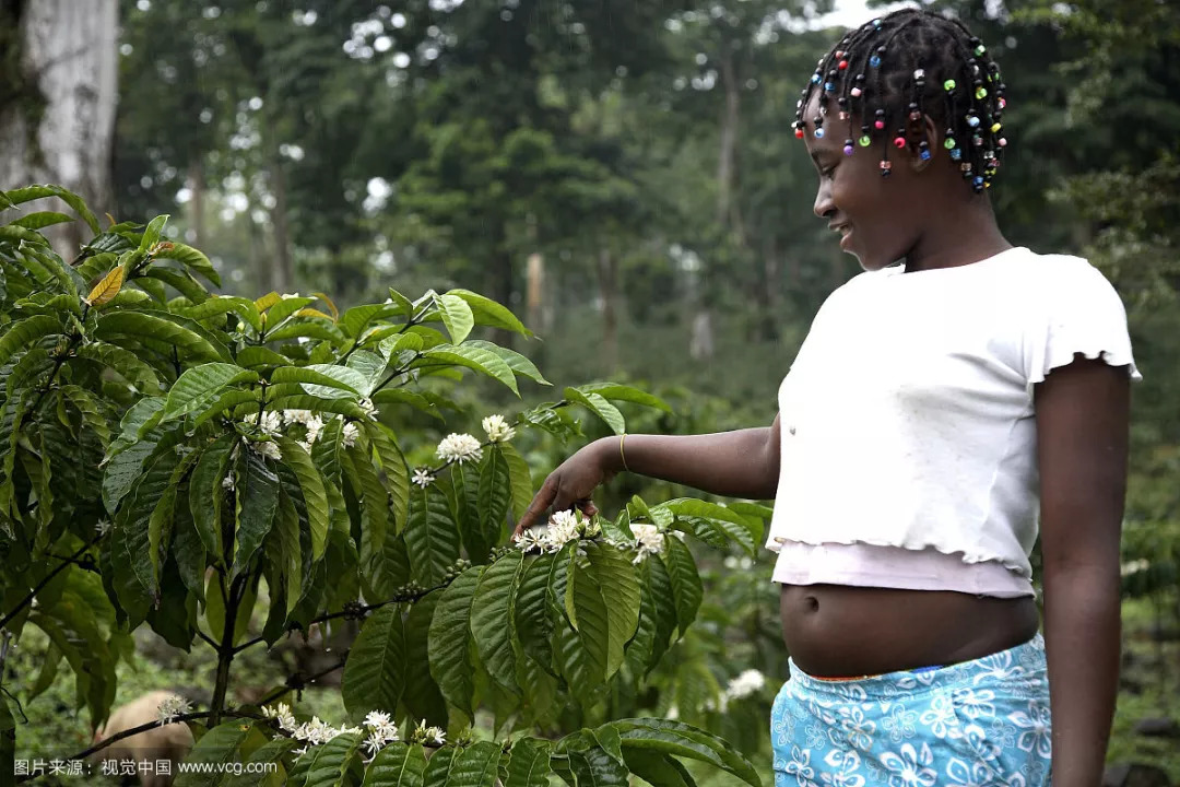 圣多美和普林西比射箭选手崭露头角的简单介绍